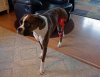 DSC00553.JPG