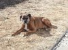Sofie 021416.jpg