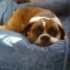 image.jpeg image.jpeg
