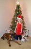 DSC_5089-2.jpg