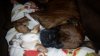 20170125_005208.jpg
