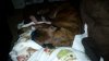 20170125_005927.jpg