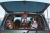 beachboundboxers.jpg