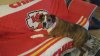 20170429_085045.jpg