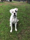 fiona230821.jpg