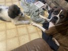 IMG_0805.jpeg