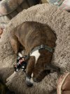 IMG_0811.jpeg