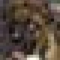 Calmegibby