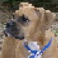 Buddy2003