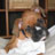 smhcooper