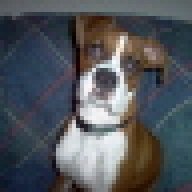 MyGirl Sasha