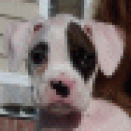 gabbysmom