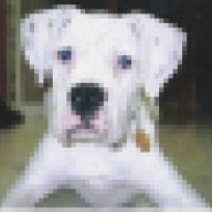 kc'sduke