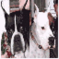 Rena&Chopper