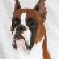 <BOXER>