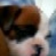 lolbarron