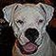 white_boxer