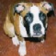 lone*barbi