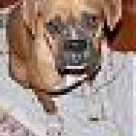 Chula'sHuman