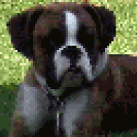 Dalton