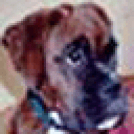 LexiBoxer