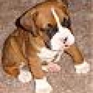 Devil_Boxer