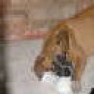luvmyboxer07