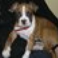 MillieC