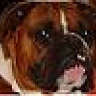 Rockys_Momma