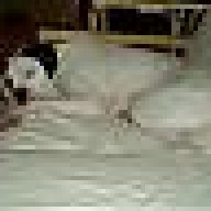 Baxter0316