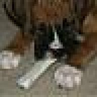 duketheboxer