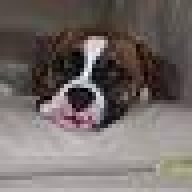 PMFLAR