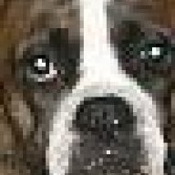 ourjasperboy