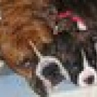 PairOfBoxers