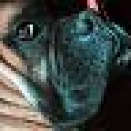 SRQ_Brutus