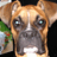 choppersdad