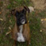 Idyllic