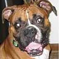 burnsyboxer