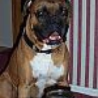 turklock