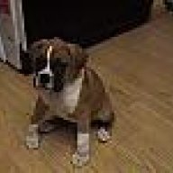 RR Tyson