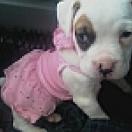 staceyg