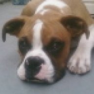 docda