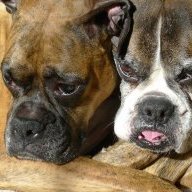 robrouge