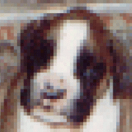 AngusThermopile