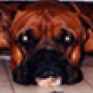 N2Boxers