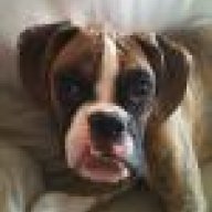 NE Boxer Mom