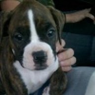 seanandnala