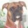 jj n vj