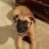 Rudy2002