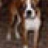 Samson